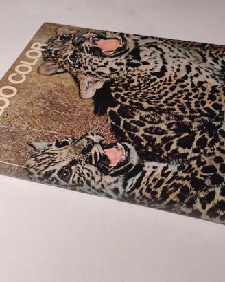 Zoo color - 1977 - Ed Giunti Marzocco