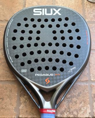 Siux Pegasus Pro 2026