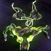 Bikini effek f*k official bambina tg.8a