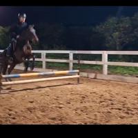 Cavallo