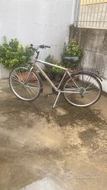 Bici da uomo