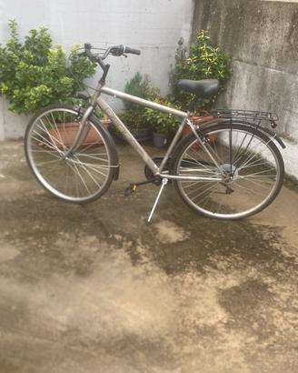 Bici da uomo