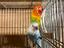 Immagine 6