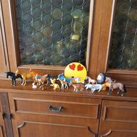 stock di animali- leoni cavalli pecore maialini ec