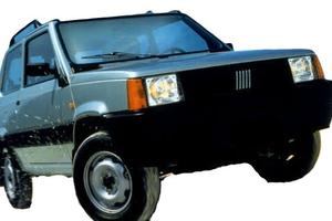 Motore e Cambio 187A1000 Fiat Panda 4x4 anno 2002 