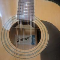 Chitarra 12 corde con cavo e connettore per amplif