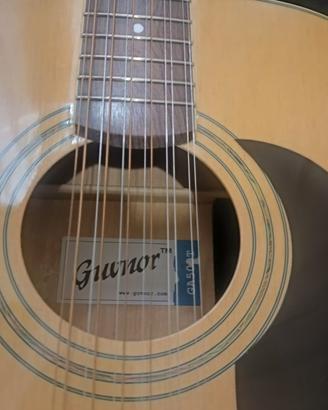 Chitarra 12 corde con connettore amplificazione