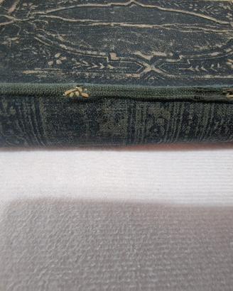 libri 1913. Fammi un o fferta! 