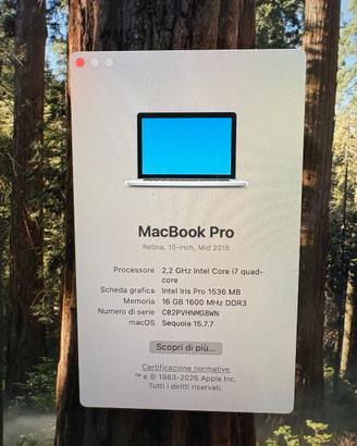 Macbook Pro 15" mid 2015 (retina)