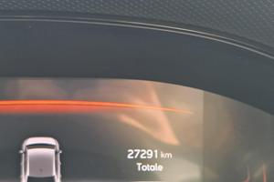 Seat ibiza Anniversary Limited Edition 