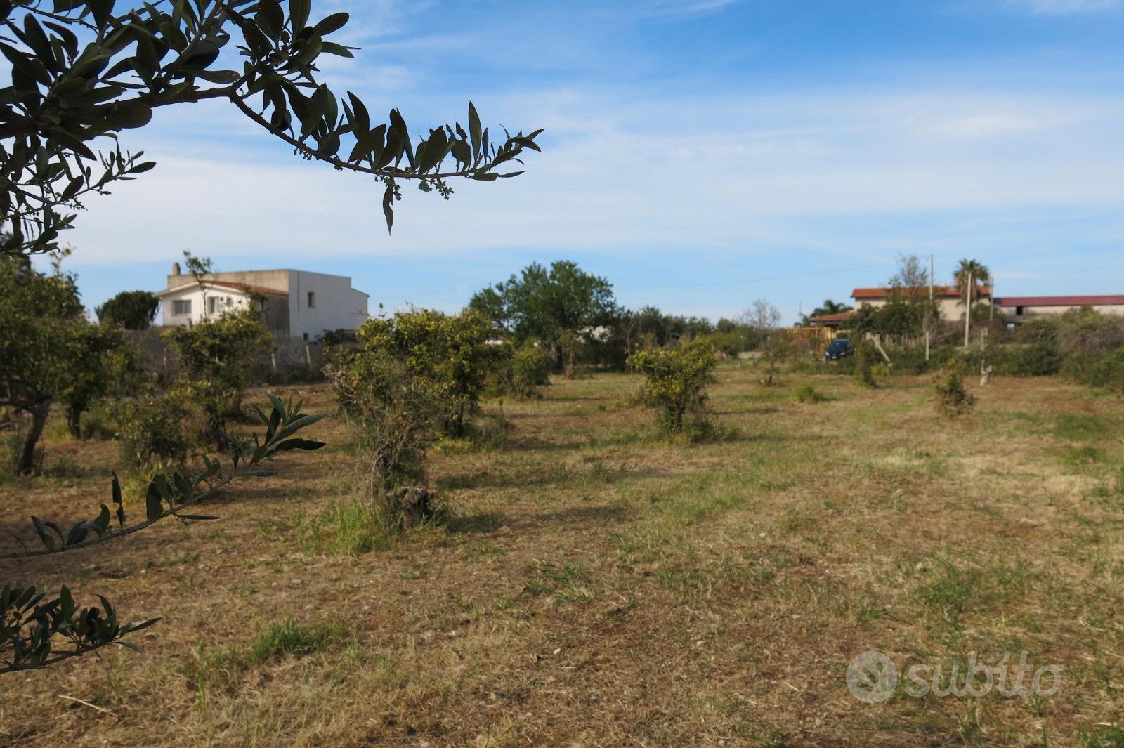 Cinisi (Pa) Terreno Agricolo 2.000mq circa - Vista 4