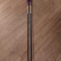 Bastoncini Sci 125cm