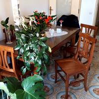 tavolo salone in legno massello