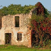 a Lonato d/G -Rustico AMPIA METRATURA e immerso ne