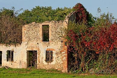 a Lonato d/G -Rustico AMPIA METRATURA e immerso ne