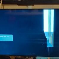 televisore schermo parzialmente rotto