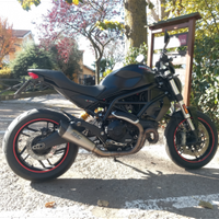 Ducati monster 797 plus