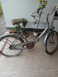 bicicletta Diana pieghevole 