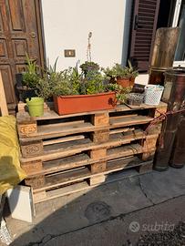 Bancali epal 80 x 120