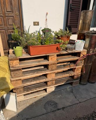Bancali epal 80 x 120
