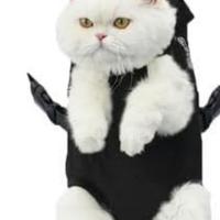 Borsa/trasportino per cane/gatto