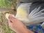 Immagine 2