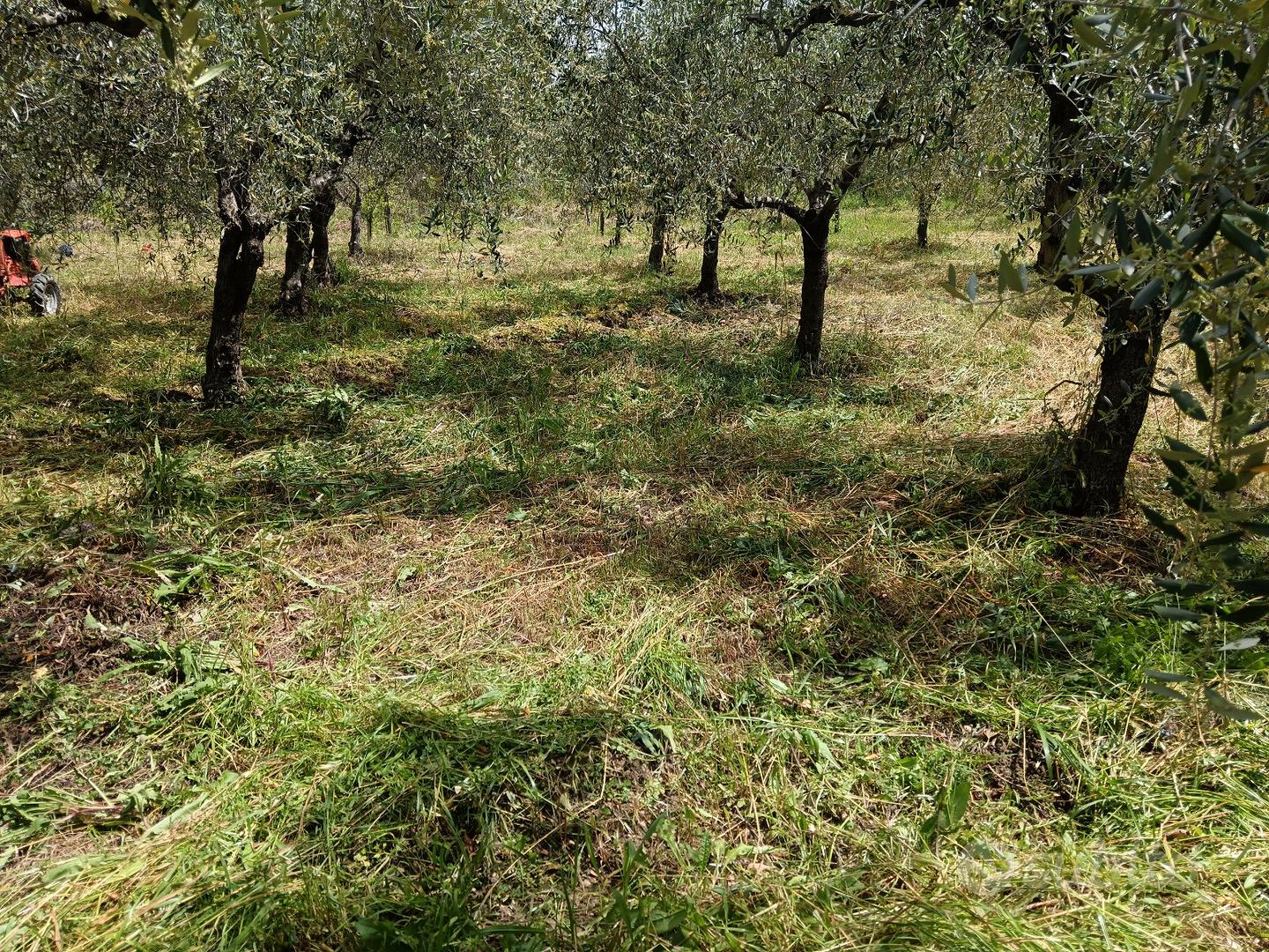 Terreno agricolo - Vista 3