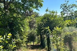 Terreno agricolo di 1500mq