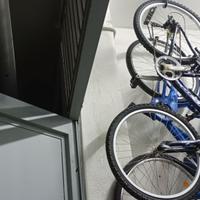 Bici Mountain bike