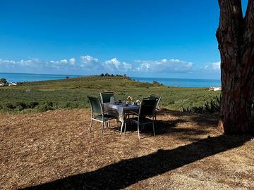 Casa Vacanze "Domita"
