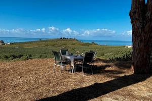 Casa Vacanze "Domita"