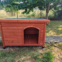 venduta_CUCCIA NUOVA PER CANI