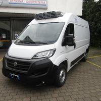 FURGONE FRIGO CON ATP