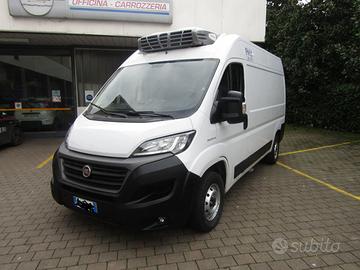 FURGONE FRIGO CON ATP