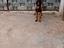 Immagine 3