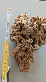 roccia modello spaghetti 