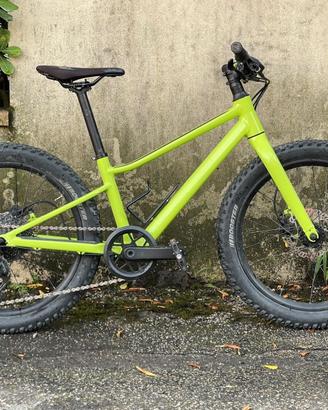 Bici MTB bambino BMC 20 pollici verde