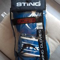 Guantoni boxe + parastinchi + fascette