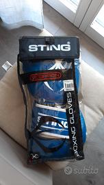 Guantoni boxe + parastinchi + fascette