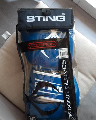 Guantoni boxe + parastinchi + fascette