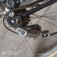 bicicletta Donna vintage