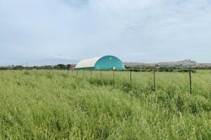 Terreno agricolo mq 7474 Via Margarone Motta - 03M