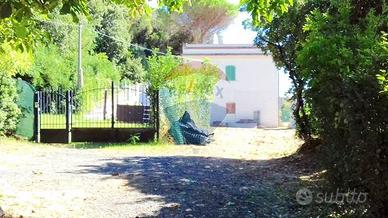 Casa Indipendente - Rosignano Marittimo