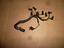Immagine 19
