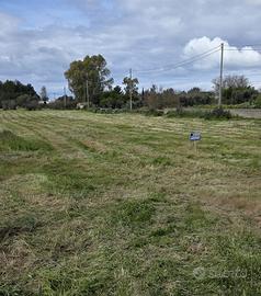 Terreno Agricolo Sannicola [Cod. rif 3307702VCG]