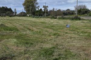 Terreno Agricolo Sannicola [Cod. rif 3307702VCG]