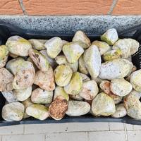 Pietra da giardino per contorni