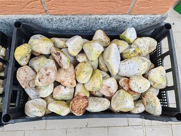 Pietra da giardino per contorni