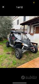 Quad wild cat 1000
