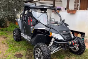 Quad wild cat 1000